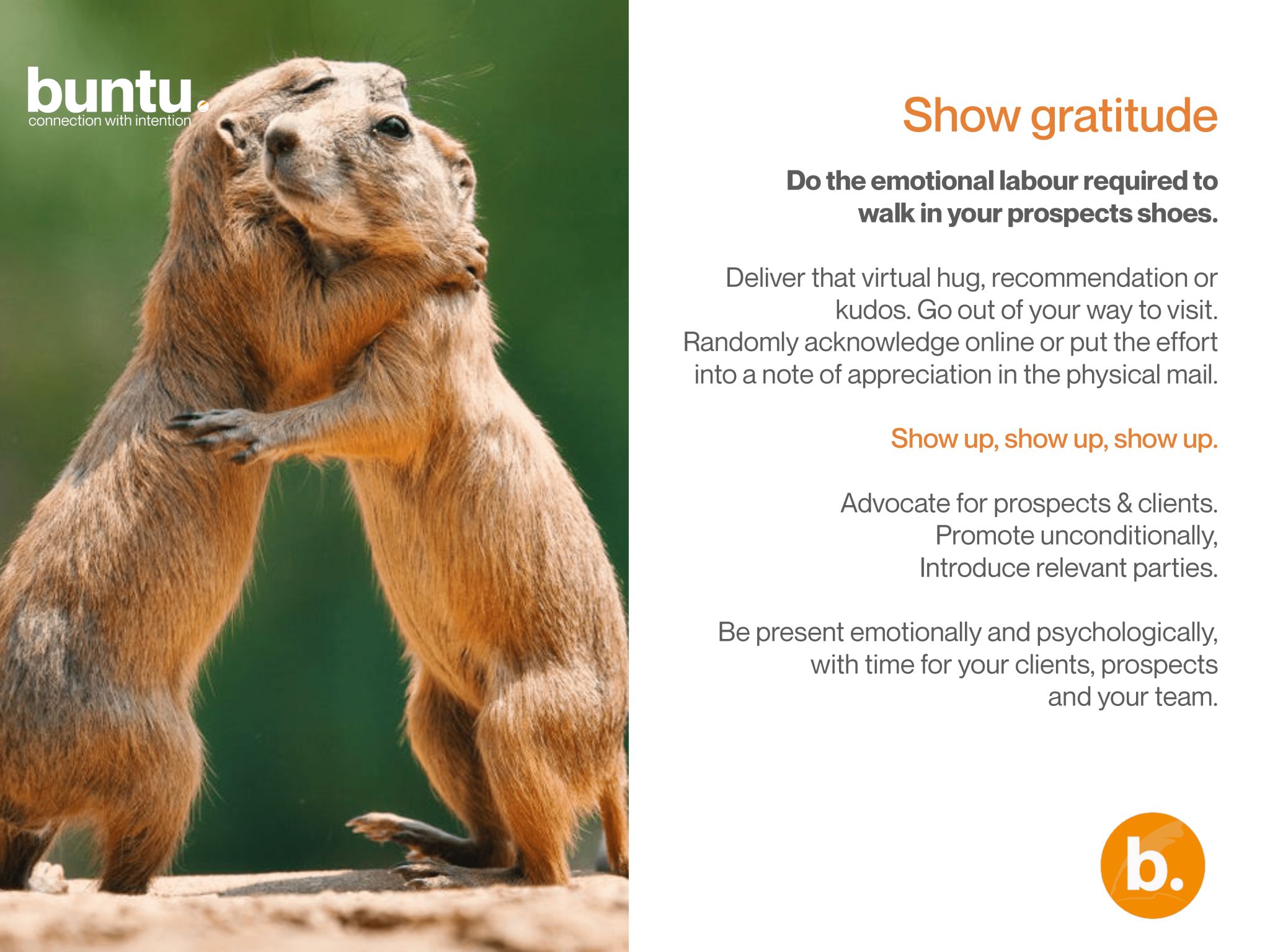Two ground squirrels hugging each other with the words show gratitude. Two ground squirrels hugging each other with the words show gratitude.